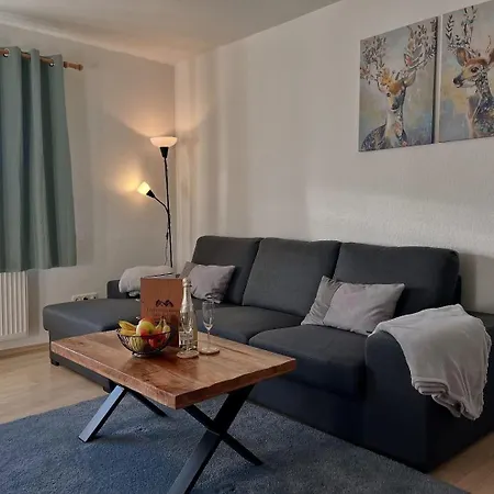 Alte Schule アパート *