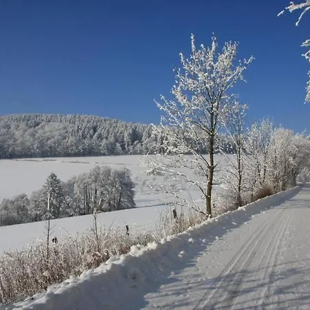 Apartment Alte Schule Willingen (Upland)