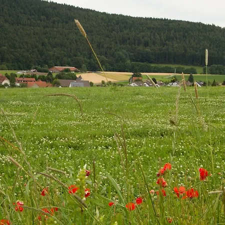 アパート Alte Schule *