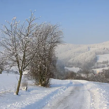 Alte Schule * Willingen (Upland)