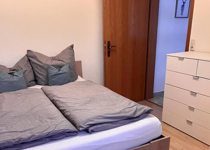 Alte Schule 아파트 빌링겐