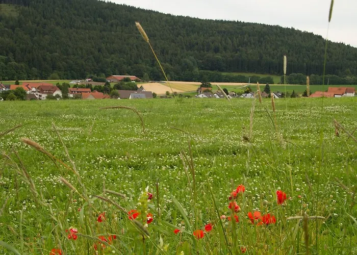 아파트 Alte Schule *