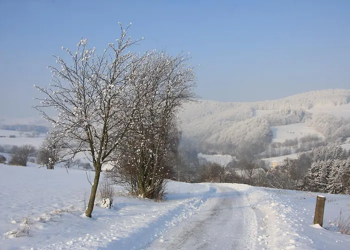 Alte Schule * 빌링겐